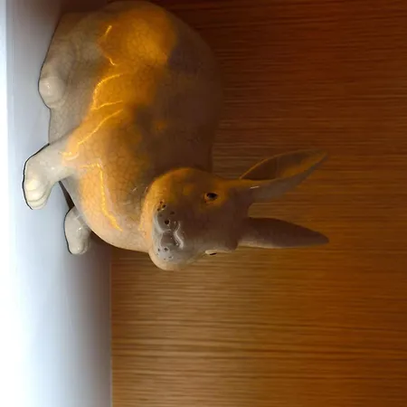 Hotel Le Lapin Blanc 4*